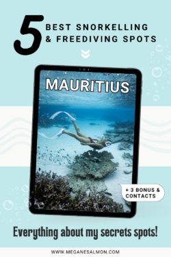 Guide Snorkelling Freediving Mauritius